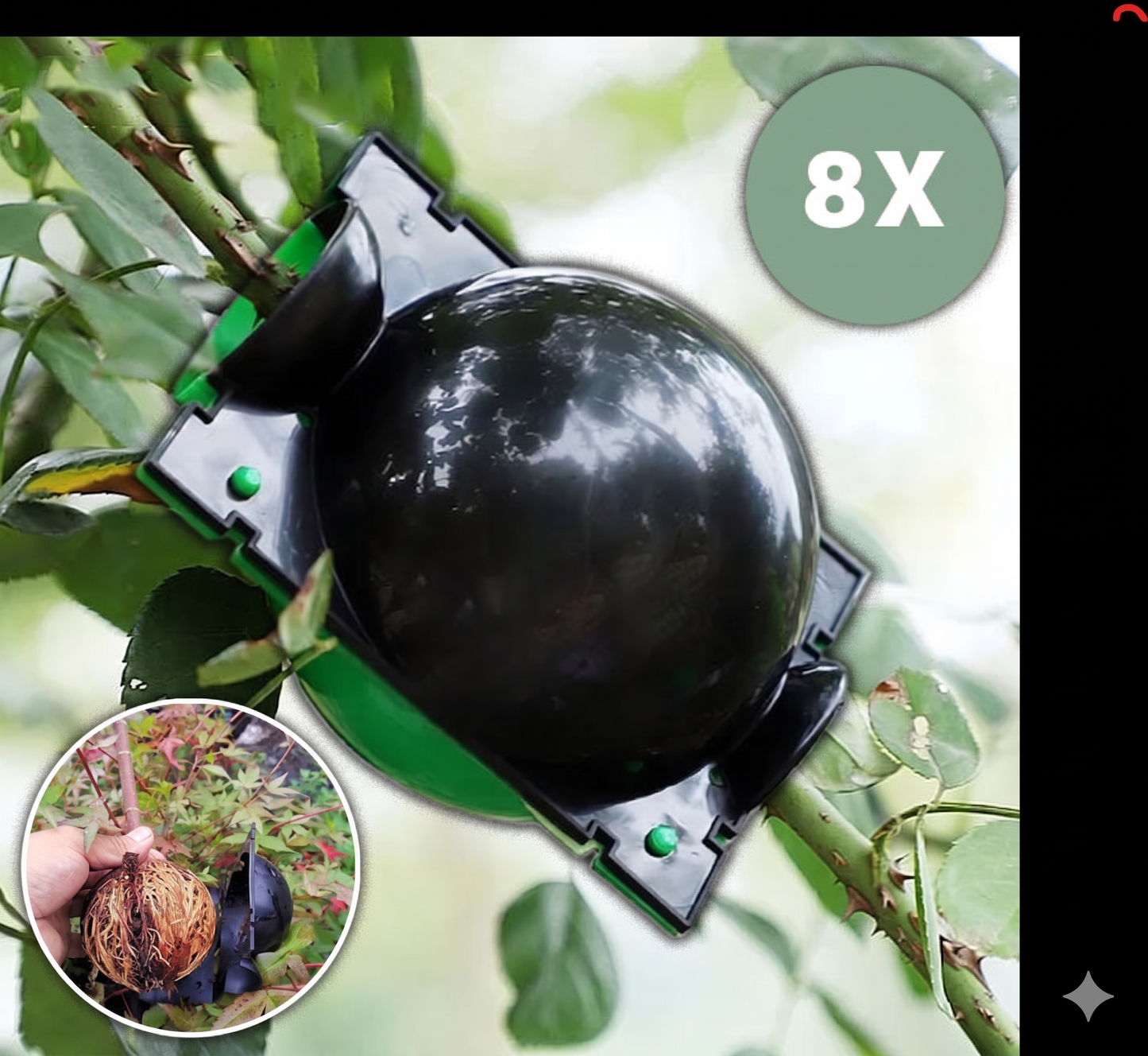 Cutie de propagare pentru rădăcini puternice-Rootini™ 8 Bucati(SET)